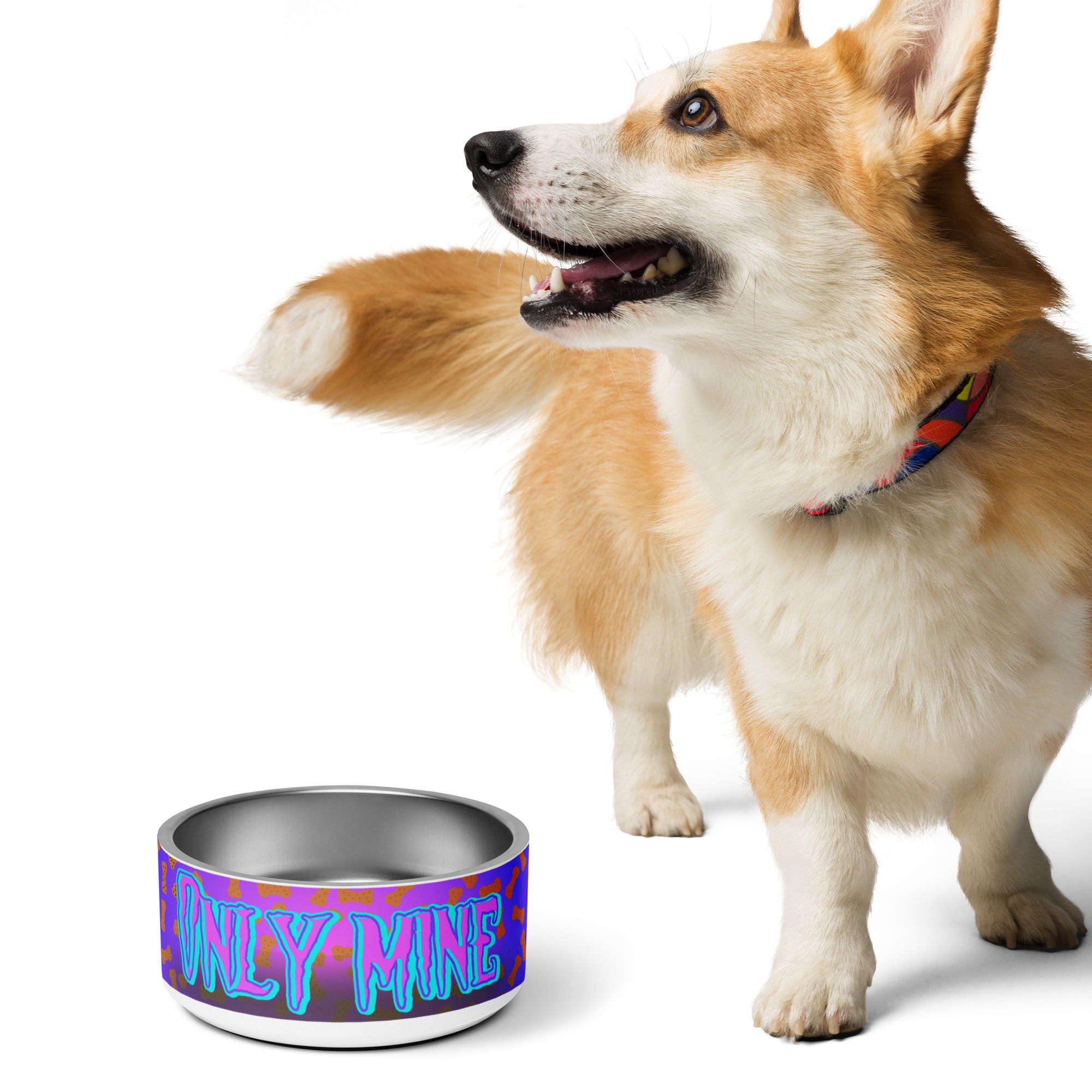 Nerezová miska pre psa „Only Mine“ – fialová – Obrázok 8