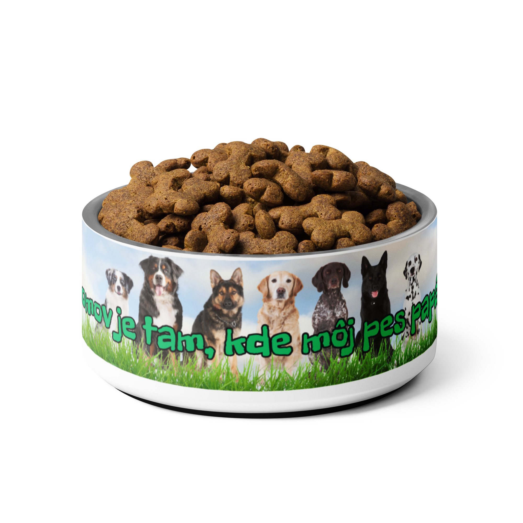 Štýlová nerezová miska „Domov je tam, kde môj pes papá“