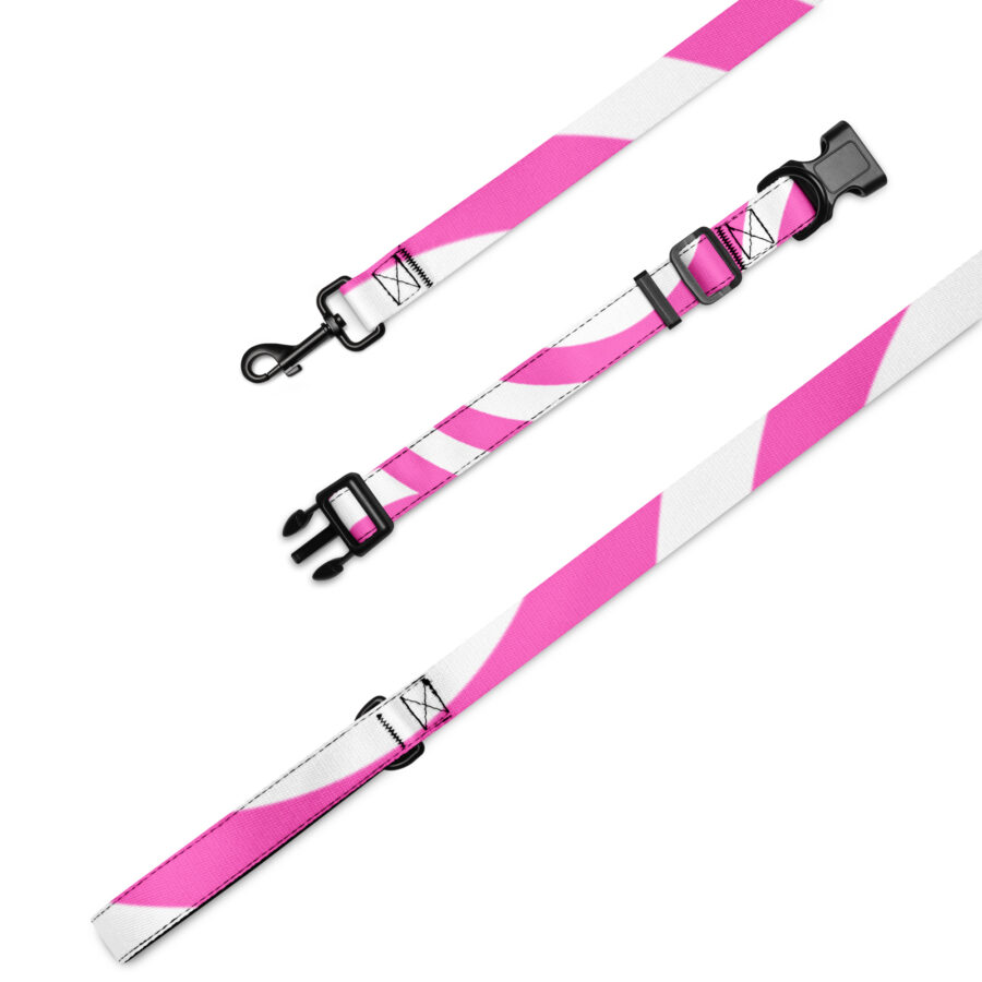 Obojok a vodítko pre psy