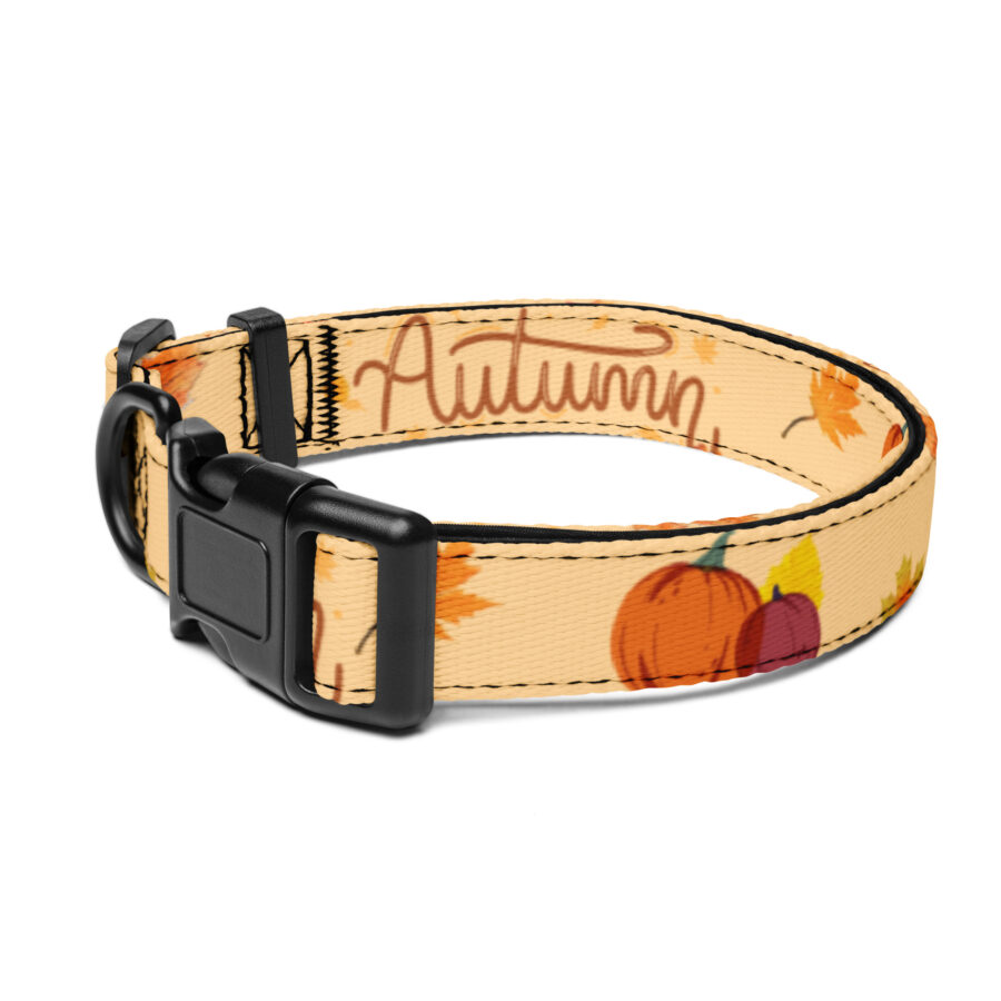 Štýlový obojok pre psa – jesenný dizajn s tekvicami