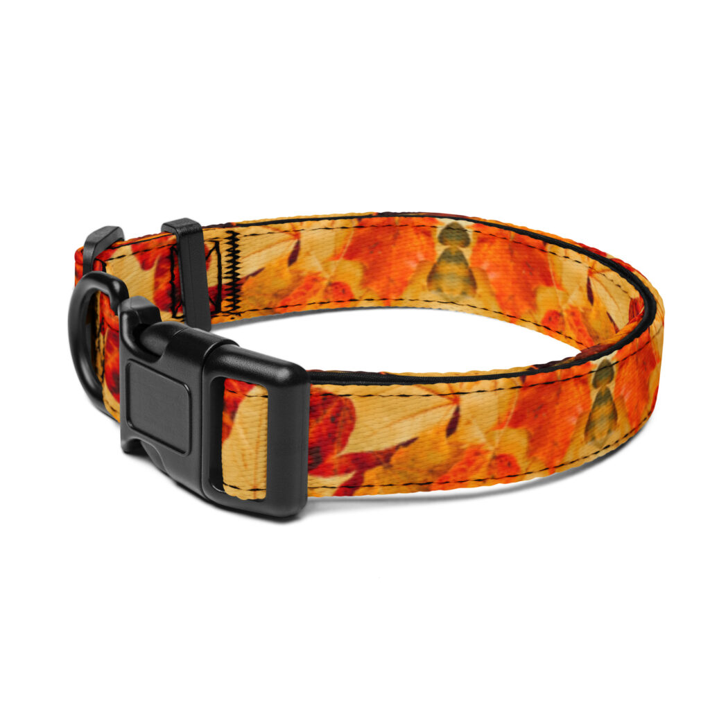 Štýlový obojok pre psa – dizajn s jesennými listami