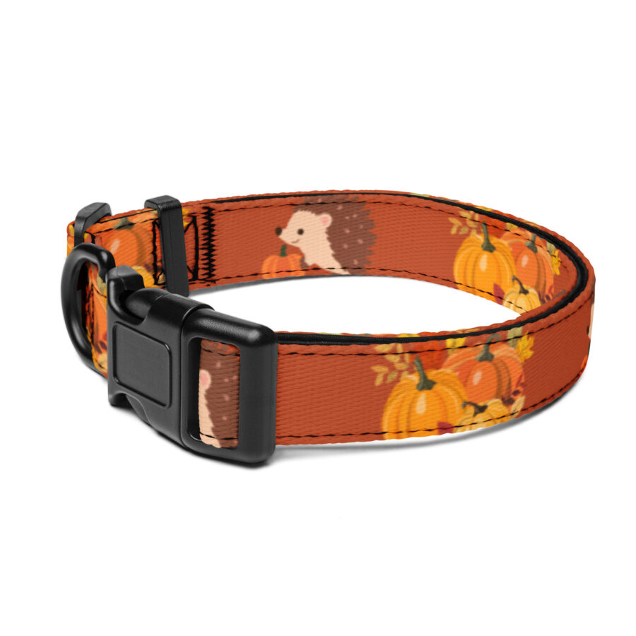 Štýlový obojok pre psa – dizajn so ježkom a tekvicami