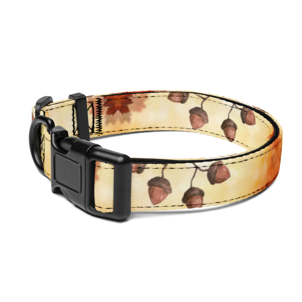 Štýlový obojok pre psa – dizajn s makkami a šiškami